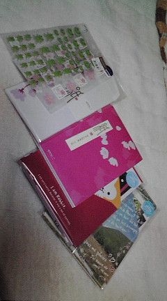 20090306005323.jpg