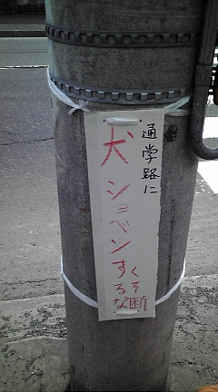 20090412131518.jpg