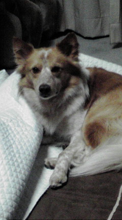 20080927000636.jpg