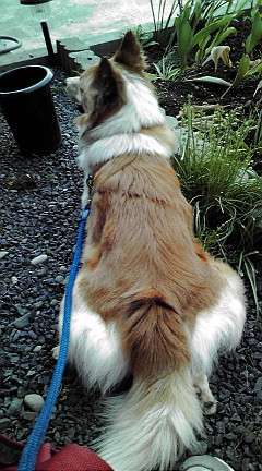 20090608121408.jpg