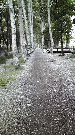 20090618113655.jpg