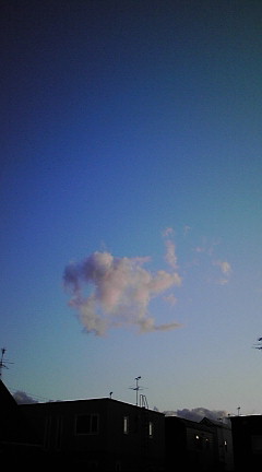 20090623190219.jpg