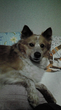 20090701031937.jpg