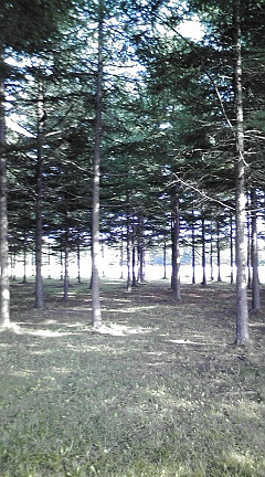 20090808155640.jpg